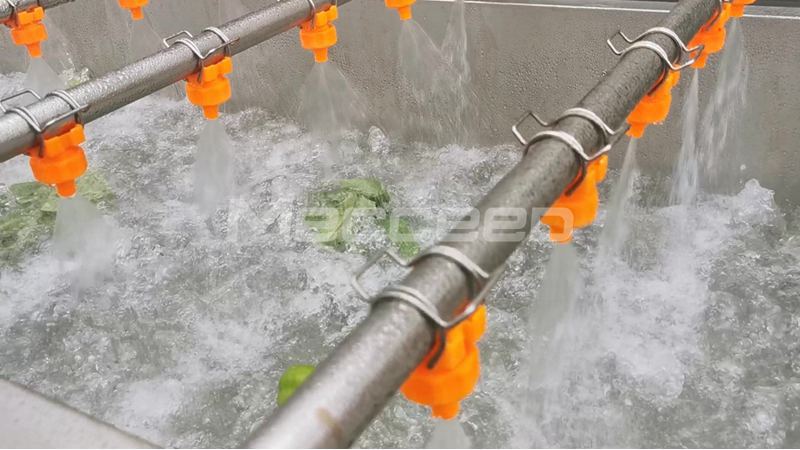 air bubble washing machine washing vegetables