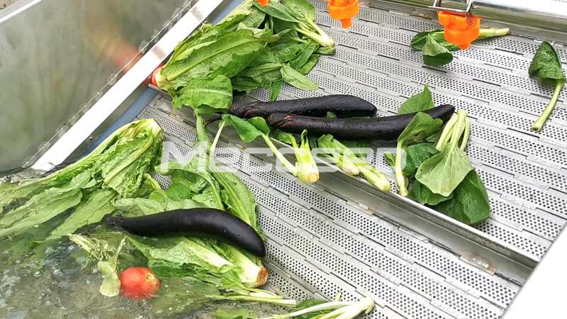 vegetable washing machine cleaning fresh vegetables