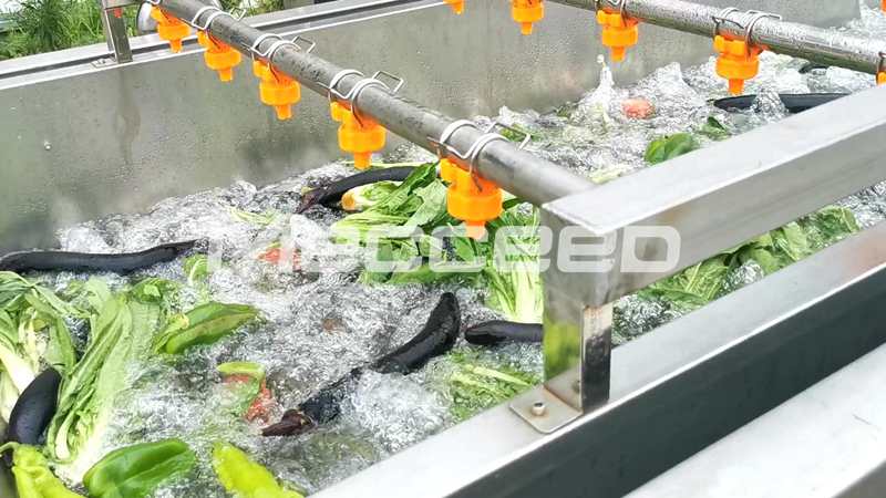 commercial vegetable washing machine washing leafy vegetables