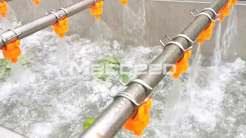 vegetable washing machine with water spraying nozzles