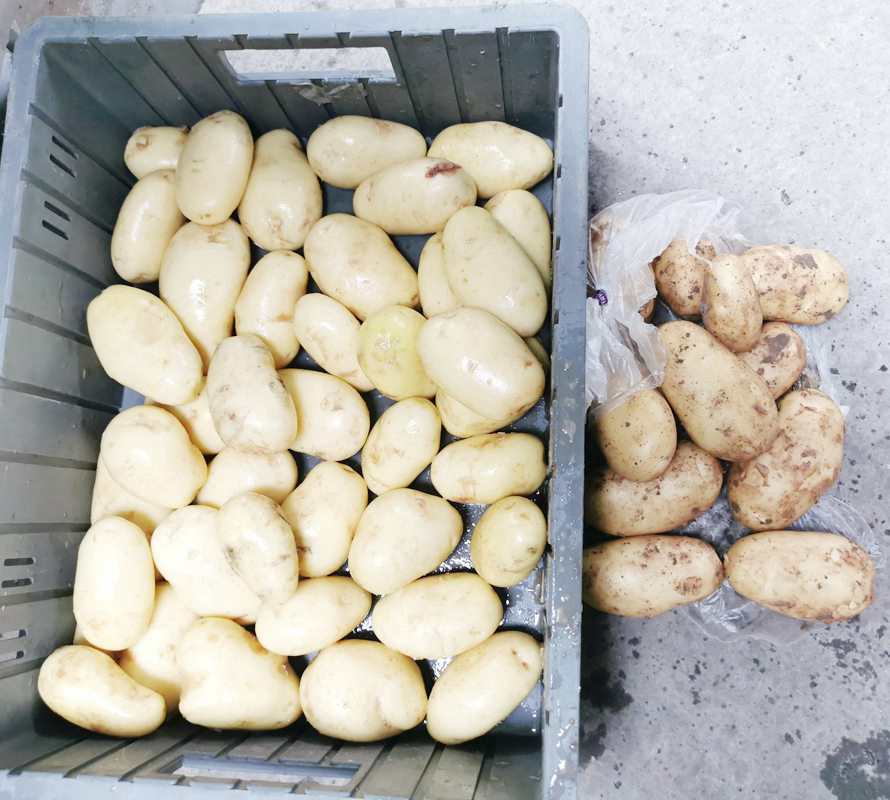 Comparison of the effect before and after potato cleaning