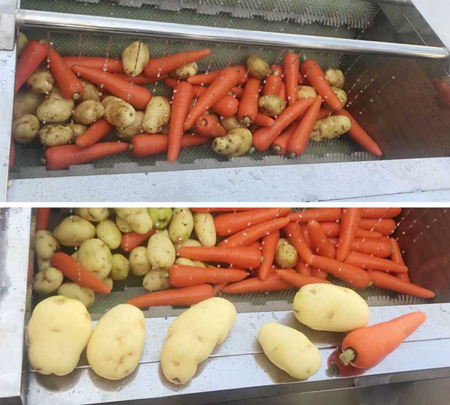 Potato and carrot cleaning effect before and after using a brush washing machine