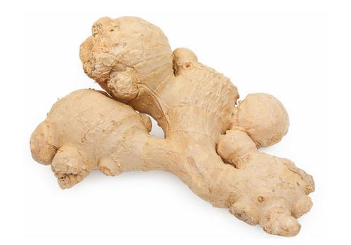 commercial ginger cleaning machine