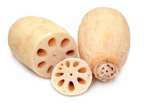 commercial lotus washing machine