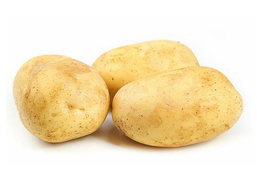 industrial potato washing machine