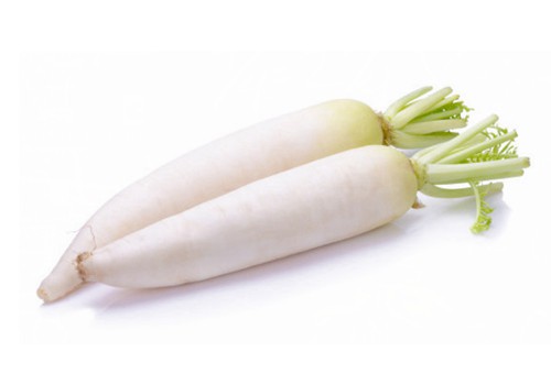 commercial radish washing machine