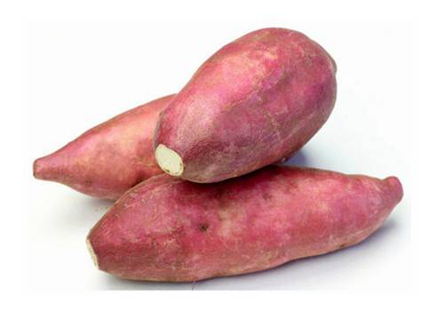 commercial yam washing machine