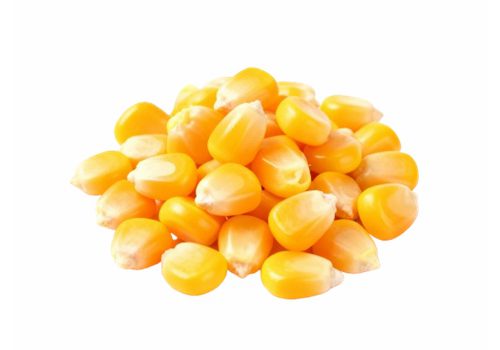 corn seed rotary drum washer machine